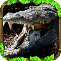 wildlife-simulator-crocodile.png